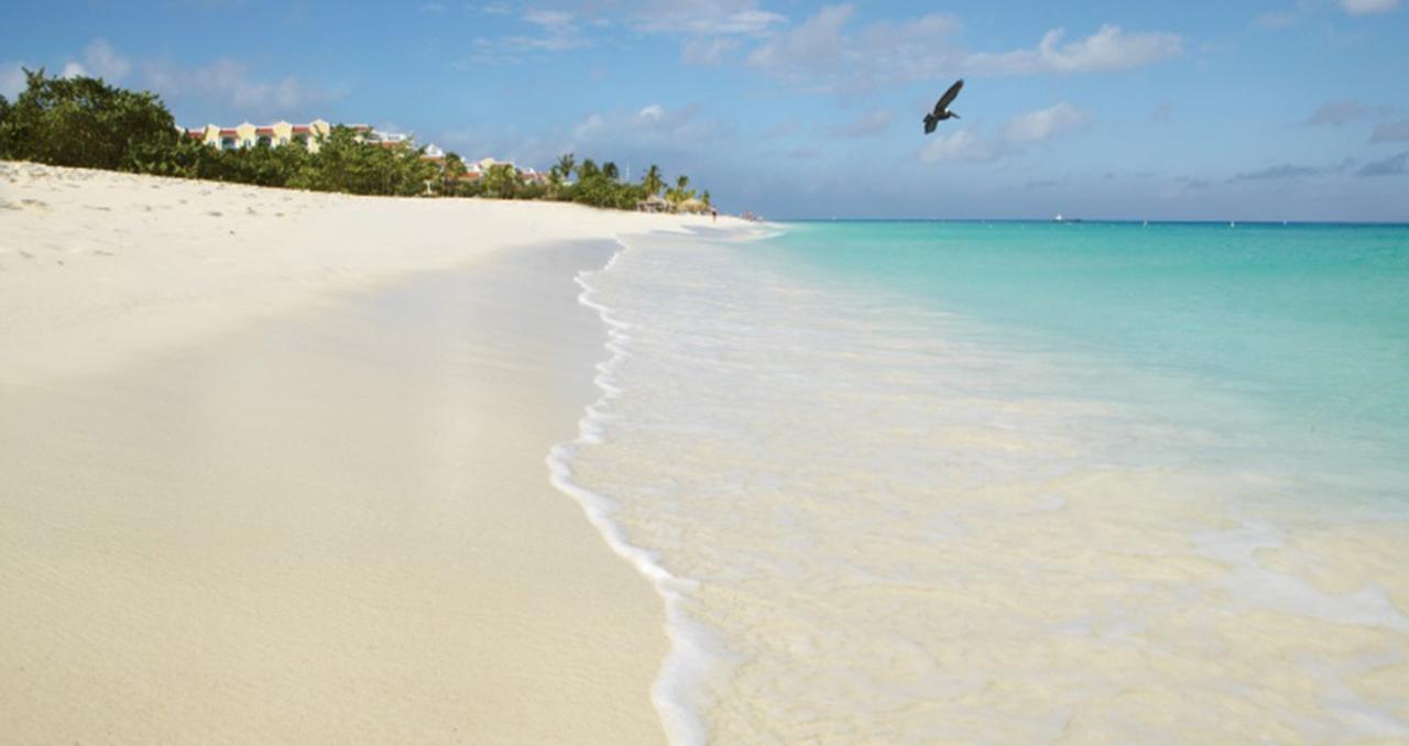 Buddha Studios Aruba Palm Beach Kültér fotó